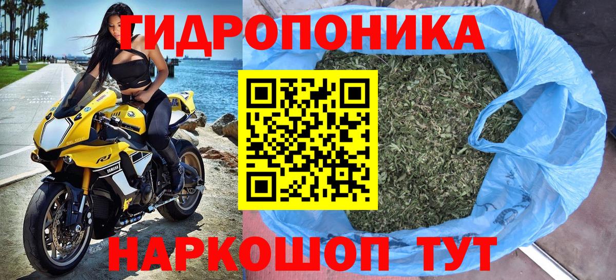 ГАШИШ Отрадный